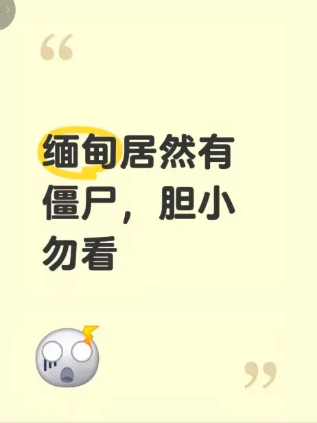 《缅甸僵尸出土事件》视频完整版在线播放-揭秘缅北僵尸出土真相-高清无删减免费观看-缅甸僵尸出土事件现场全程录像