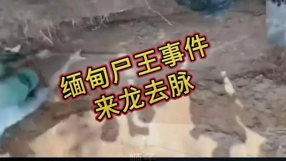 《缅甸僵尸出土事件视频》完整版资源下载 - 全网爆火视频高清在线观看无广告缅北僵尸出土事件始末原视频